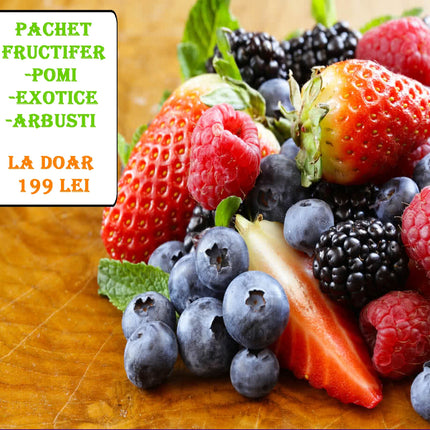 Set 5 plante pe rod - Kivi, Prun, Afin, Mur, Agris