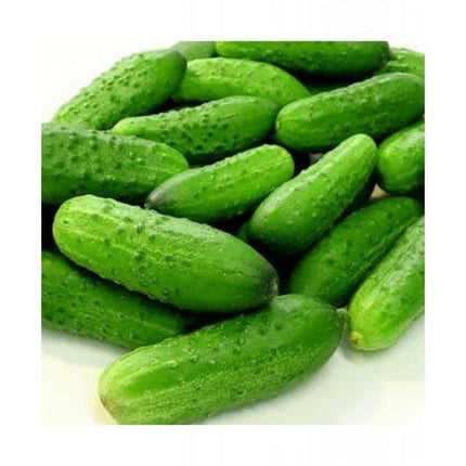 Castraveti cornichon