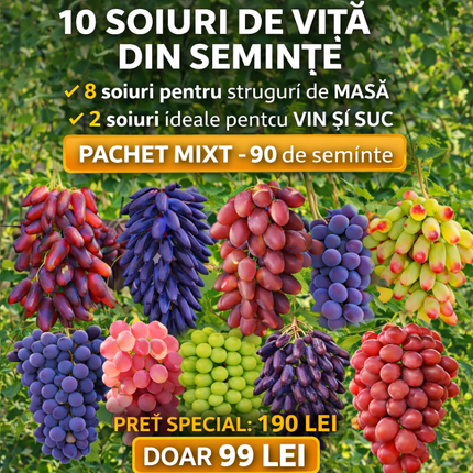 Pachet Mixt Viță de Vie – Colecție Premium Semințe (10 soiuri · 90 semințe)