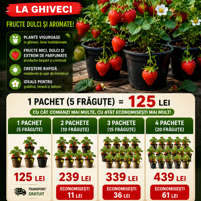 Pachet 5 Ghivece Frăguțe Naturale  –fragaria vesca pe rod