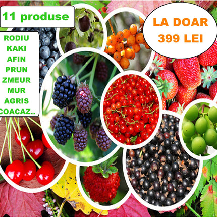 Pomi Fructifer ,Exotice, arbusti Mega pack