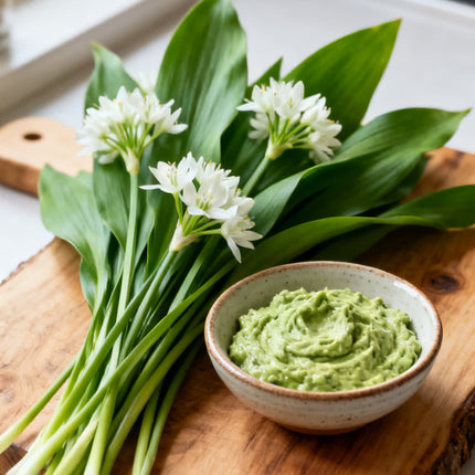 Allium ursinum (Leurdă) – Pachet COMPLET | 100 Bulbi pentru Grădină & Bucătărie