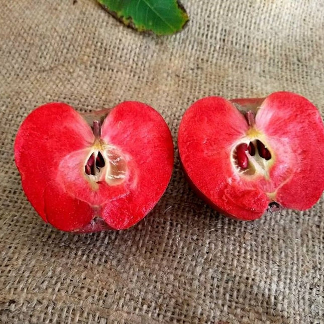 Mar Red Love - cu miezul roșu 50 buc