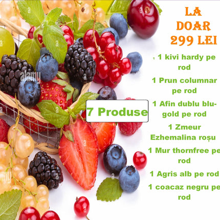 Pachet mediu fructifer ,exotice, arbusti