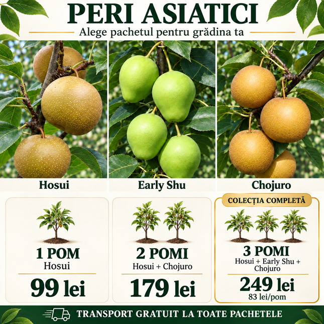 Păr asiatic Hosui
